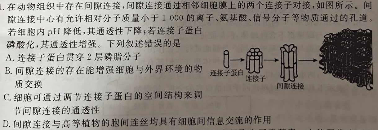 安徽省2023-2024学年度八年级阶段诊断(一)(R-PGZX F-AH)生物