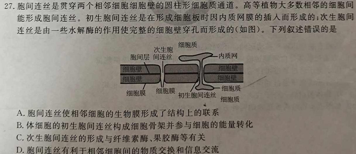 2024届山东省高三十月考试(24-12C)生物学试题答案