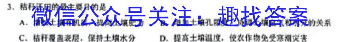 ［重庆大联考］重庆省2024届高三年级10月联考地理.