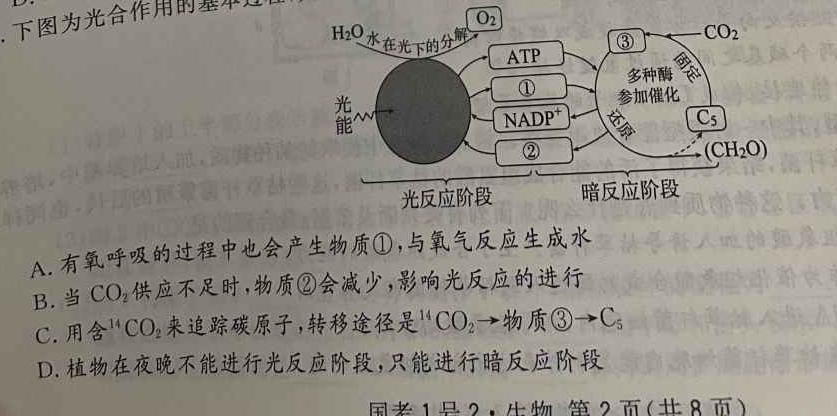 陕西省2023-2024学年高中毕业班阶段性测试（一）生物
