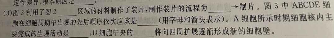 河南省中原名校联考2023-2024学年高二上学期9月联考生物