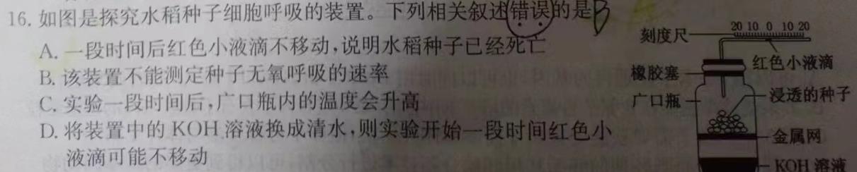 2024届10月五省大联考高三第二次联考生物