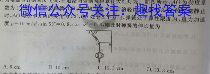 安徽省2024届高三10月质量检测卷l物理