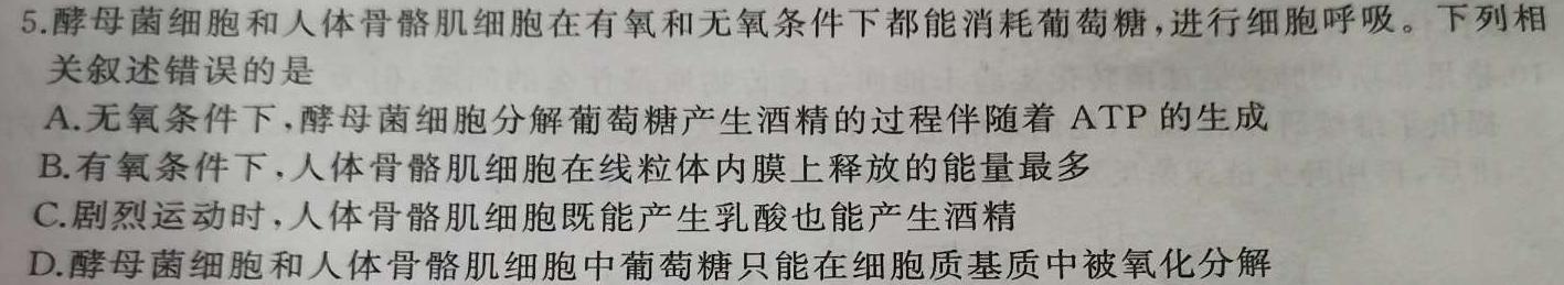 山西省2024届高三试卷9月联考(24-30C)生物学试题答案