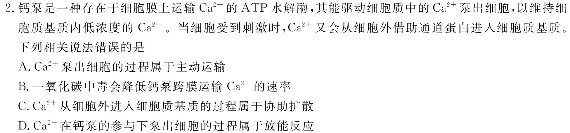 2023年贵州省高二年级阶段性联考(一)生物学试题答案