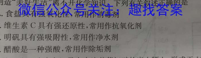 q江西省八年级2023-2024学年新课标闯关卷（十二）JX化学