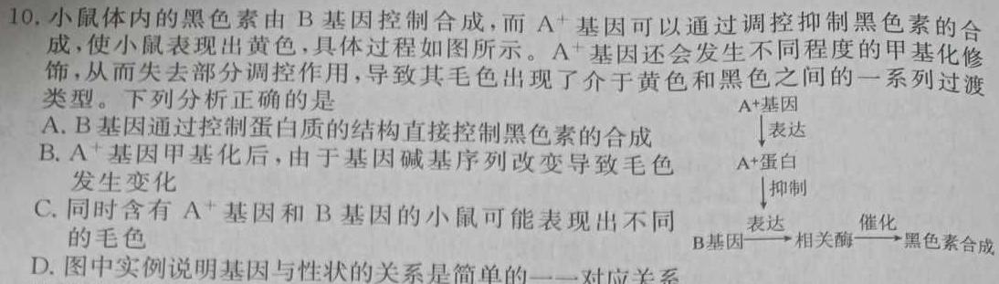 九师联盟·2024届高三9月质量检测巩固卷(新教材L G）生物