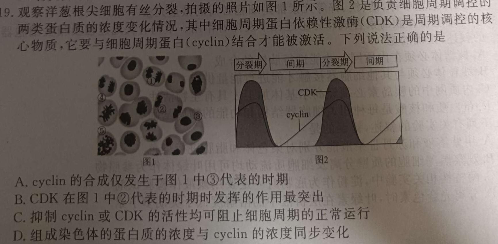 衡水名师卷 2023-2024学年度高三分科检测提分卷(一)生物