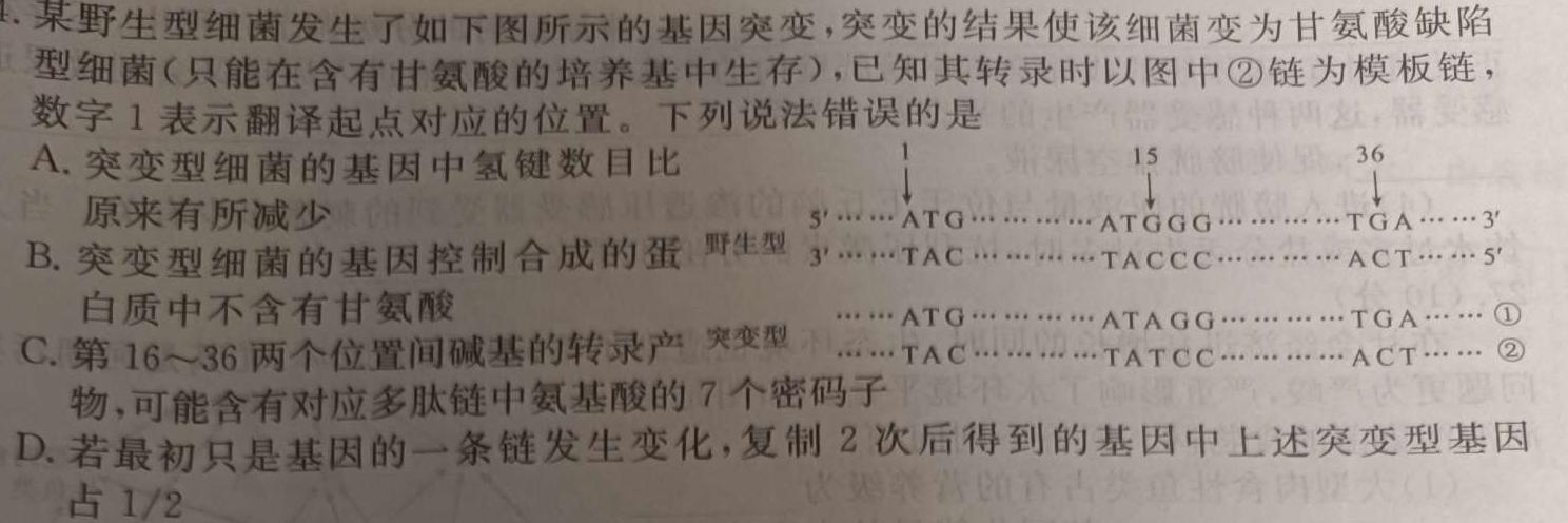 青桐鸣 2025届普通高等学校招生全国统一考试 青桐鸣高二联考(9月)生物