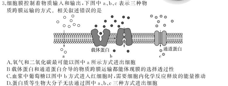 贵州省衡水金卷2024届高三适应性联考(一)生物学试题答案