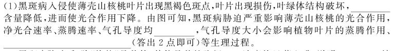 重庆市巴蜀中学高2025届高一（上）学月考试生物