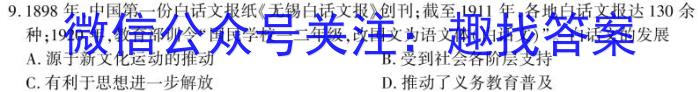 安徽省2023-2024学年度九年级阶段诊断【R-PGZX F-AH】历史