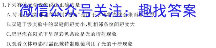 陕西省2024届九年级教学质量检测Az物理