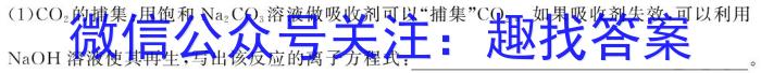 q江西省2023-2024学年度九年级阶段评估（A）化学