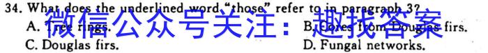 湖南省2023-2024学年度高三一轮复习摸底测试卷（一）英语