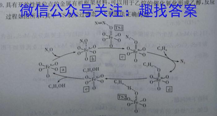 1河南省中原名校联考2023-2024学年高一月考联考卷（9月）化学