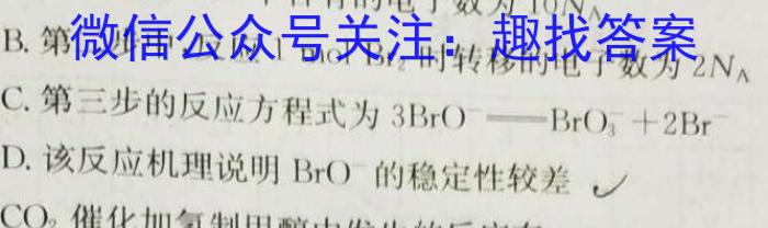 q陕西省2024届九年级教学质量检测B化学