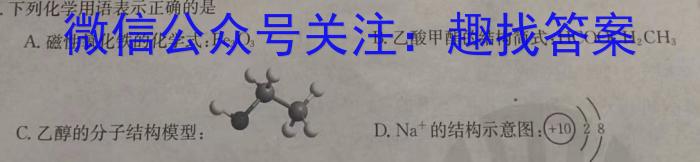 q高才博学 河北省2023-2024学年度七年级第一学期素质调研一化学