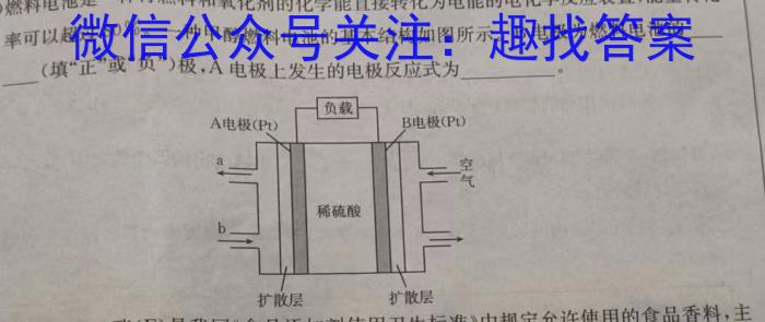 q河南省2023-2024学年度高二9月大联考化学