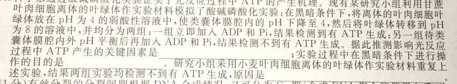 2024届广东湛江调研高三10月联考生物试卷答案