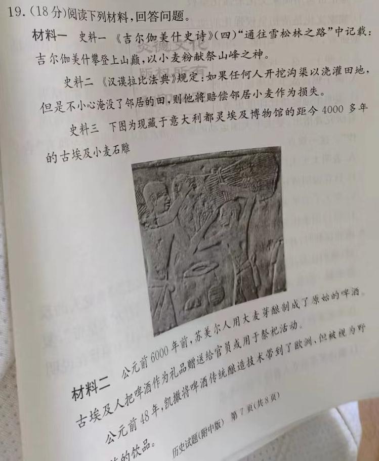 学林教育 2023~2024学年度九年级第一学期调研检测历史