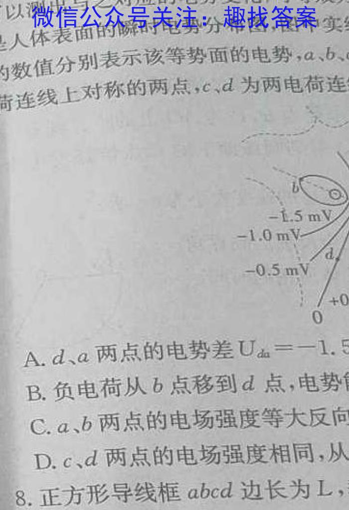 ［广东大联考］广东省2025届高二年级上学期11月联考物理`