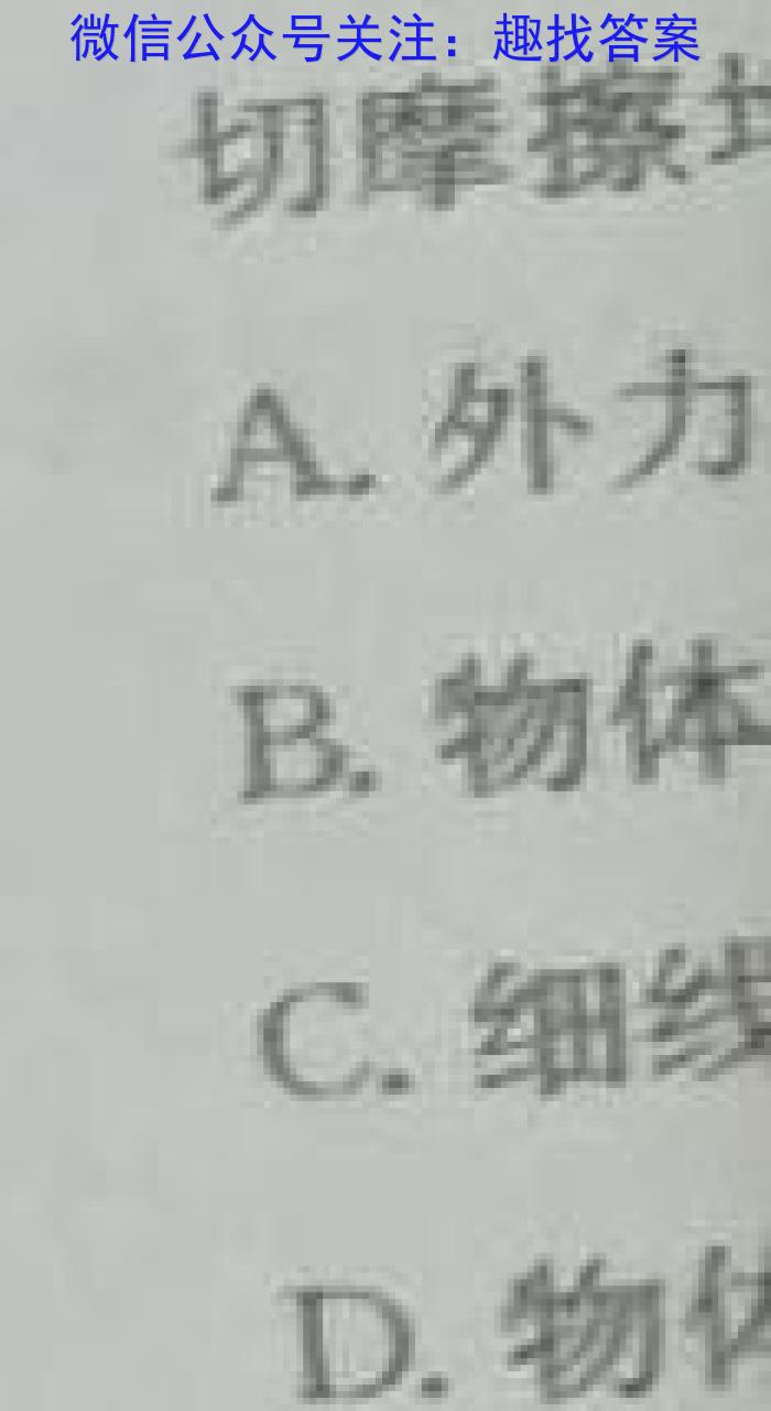 智慧上进·2024届高三总复习双向达标月考调研卷（四）f物理