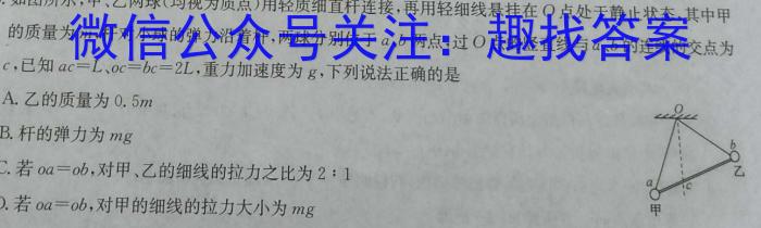 皖智教育·全程达标卷·安徽第一卷·2023-2024学年九年级全程达标卷期中调研卷q物理