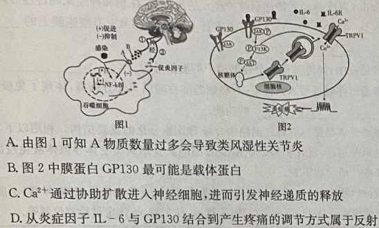 益卷 陕西省2023~2024学年度九年级第一学期课后综合作业(一)生物学试题答案