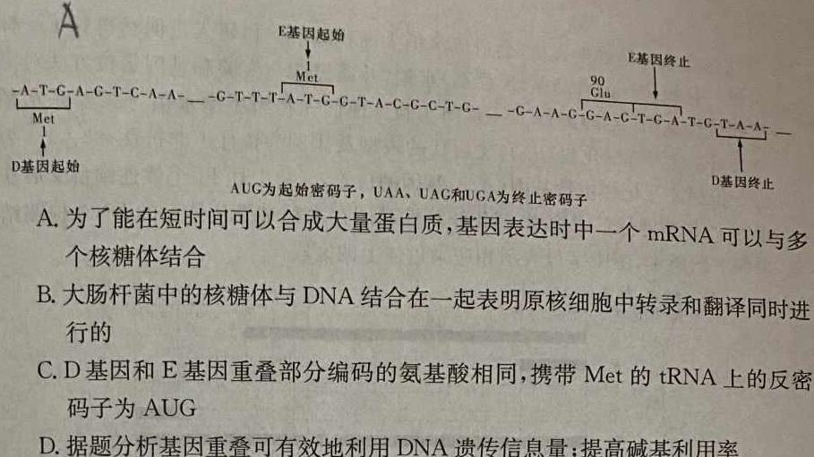 河北省沧州市2023-2024学年八年级第一学期教学质量检测一（10.10）生物学试题答案