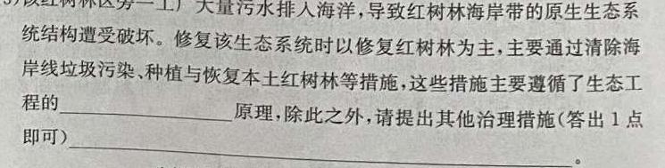 河南省2023-2024学年上学期高二10月月考(24132B)生物