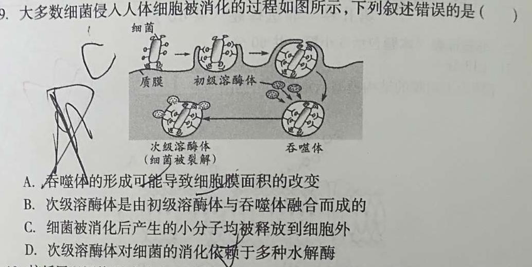 乌鲁木齐市2024届高三年级第一次质量监测生物学试题答案