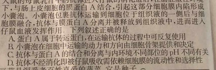 江苏省2023-2024学年高二上学期10月阶段性质量检测生物