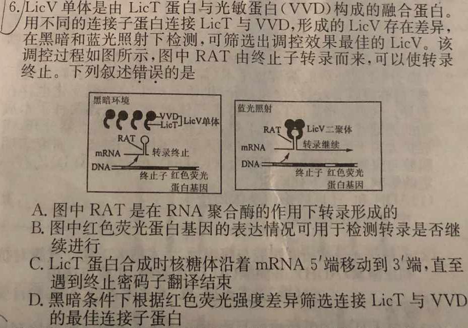 河北省2023-2024学年度七年级第一学期学业水平调研测试生物学试题答案