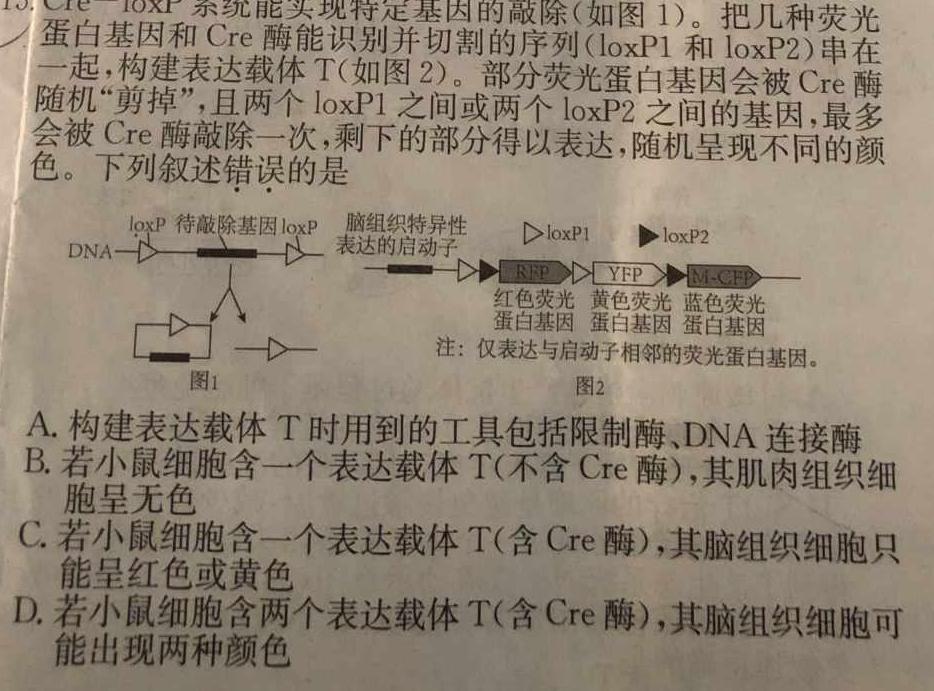 江西省2024届九年级初中目标考点测评（十二）生物