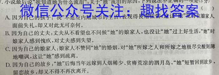 陕西省2024届高三年级第三次联考（10月28日）语文