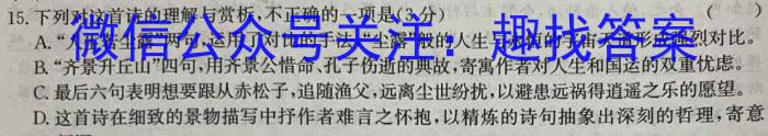 安徽省2023-2024学年第一学期九年级10月份限时训练语文