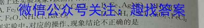 32024届陕西省高一试卷10月联考(24-50A)化学