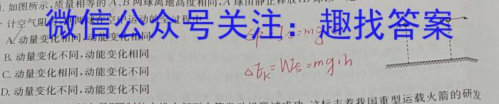 蓉城名校联盟2024~2025学年度上期高中2022级入学联考物理试题答案