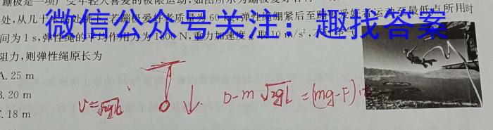 2024届河北省高三学生全过程纵向评价(四)物理试卷答案