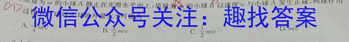 名校计划2024年河北省中考适应性模拟检测（实战型）物理试题答案