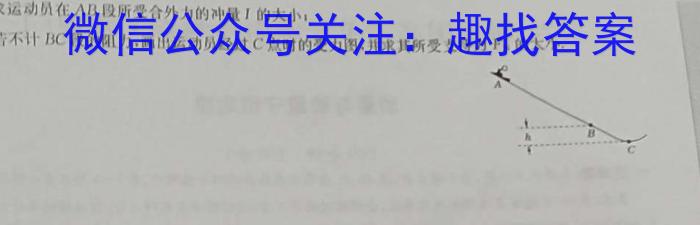 2024年常德市初中学校教学教研共同体(BEST联考二)物理试卷答案