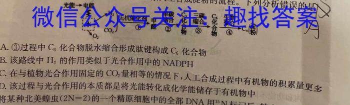 安徽省2023-2024学年度九年级上学期阶段性练习（四）生物学试题答案