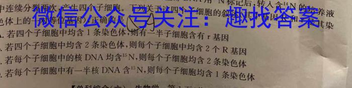 2024年孝义市中考模拟考试题(卷)数学