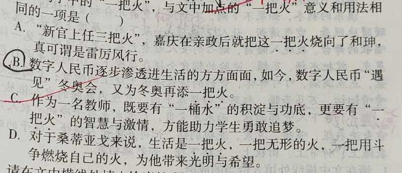 [今日更新][宝鸡三模]2024年宝鸡市高考模拟检测(三)语文试卷答案