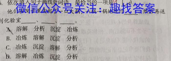 2024年安徽省1号卷·中考智高点·夺魁卷（二）语文