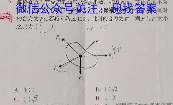 2024ʡѧҵˮƽ()xԾ