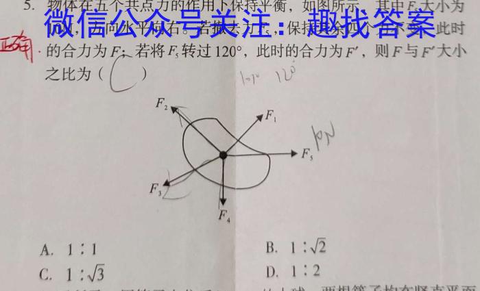 江西省2024年初中学业水平考试适应性试卷试题卷(四)物理试卷答案