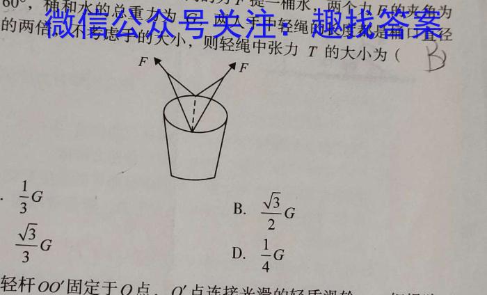 新余市2023-2024学年度下学期期末质量检测（高二年级）物理`