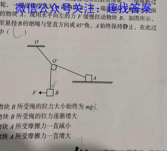 陕西师大附中2023-2024学年度初三年级第五次适应性训练物理`